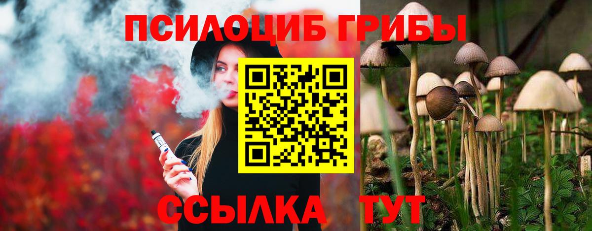 Псилоцибиновые грибы прущие грибы Кореновск