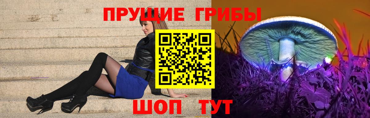 Галлюциногенные грибы ЛСД  Вход с VPN  Кореновск 